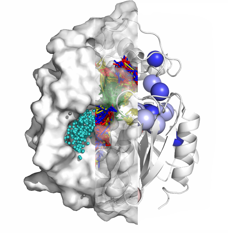 a water channel in a protein
