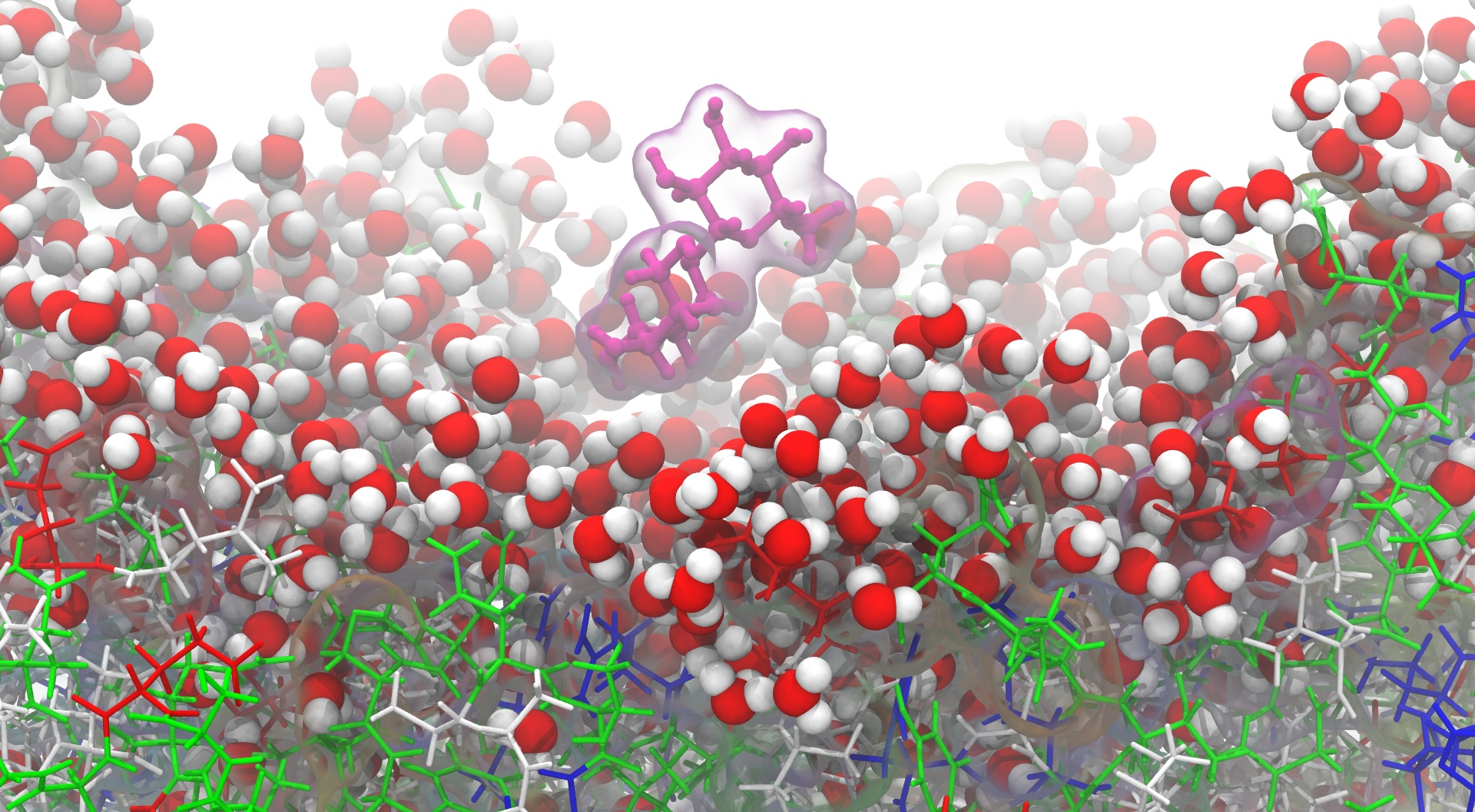 a representation of a molecule above a solvated surface