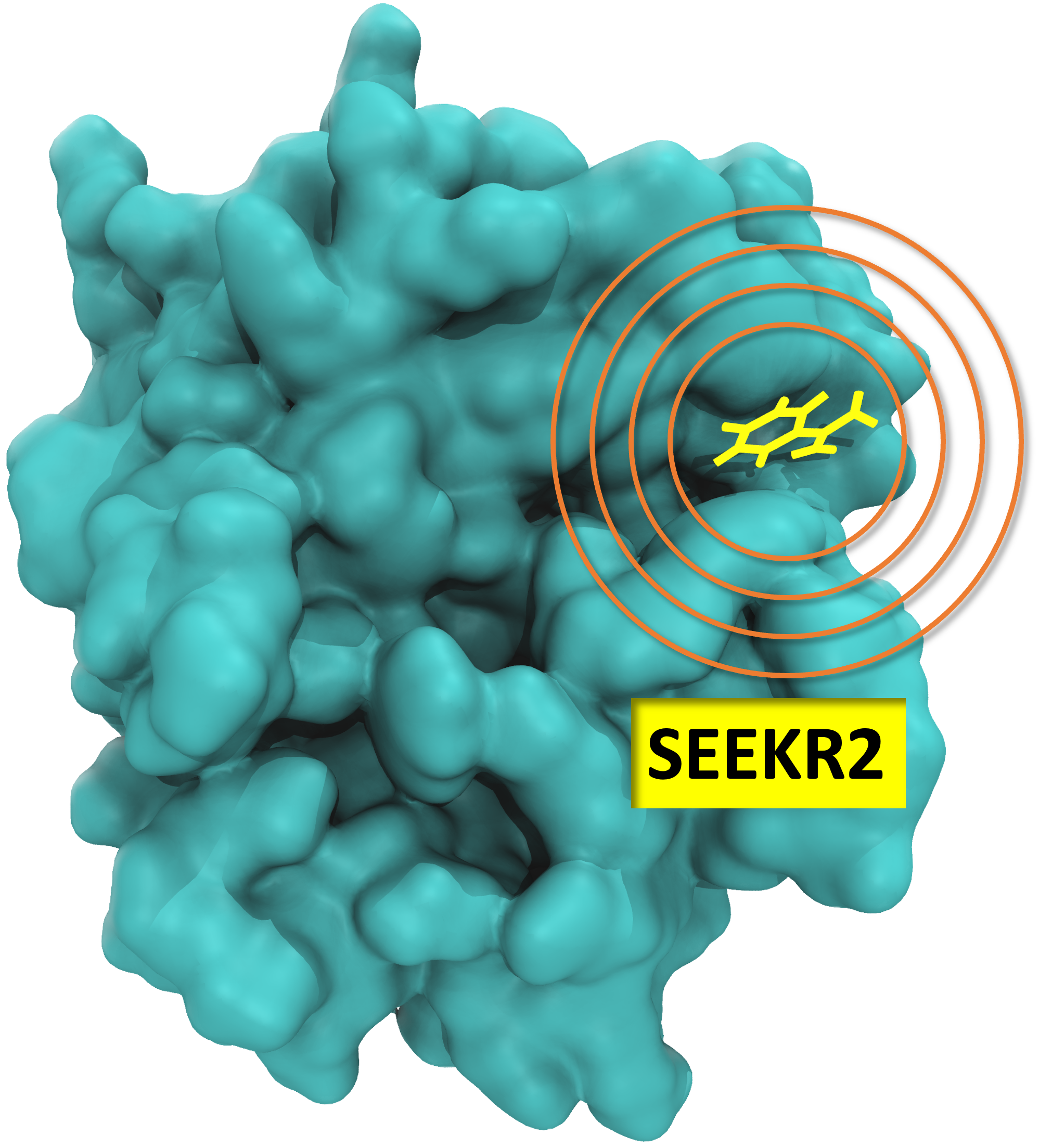 SEEKR2 being used to find kinetics around a binding site