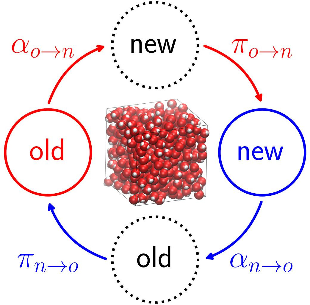 A diagram of Monte Carlo Acceptance rules for molecular configurational changes