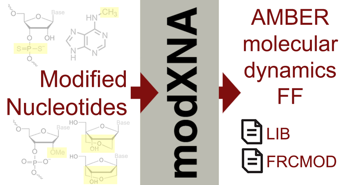A diagram for the workflow of creating modified nucleotides for AMBER 