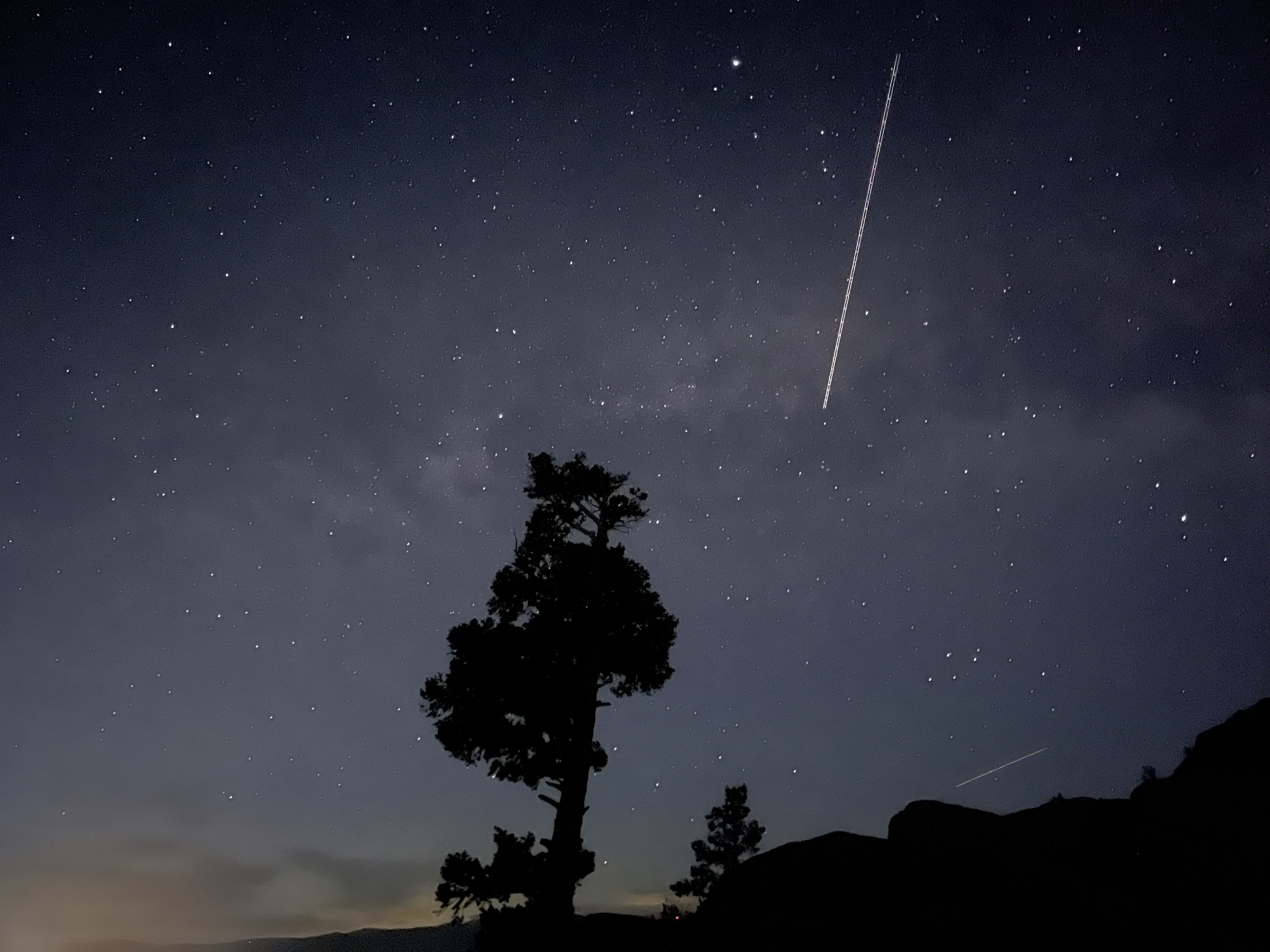 A shooting star above the dark outline of trees